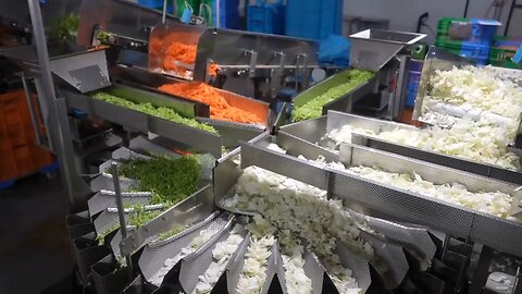 From Farm to Fork: Japan's Cutting-Edge Vegetable Processing