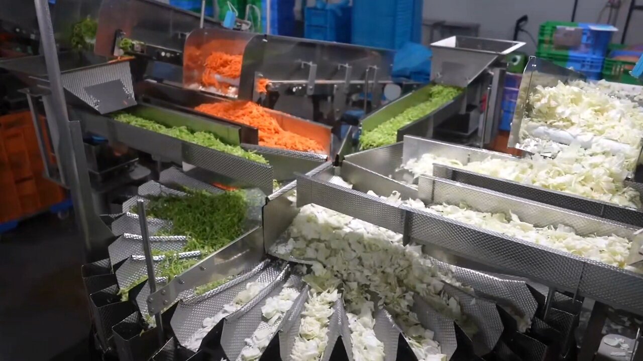 From Farm to Fork: Japan's Cutting-Edge Vegetable Processing