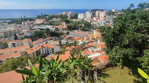 Fortaleza do Pico (2) - Madeira - PORTUGAL