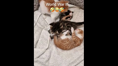 WW III