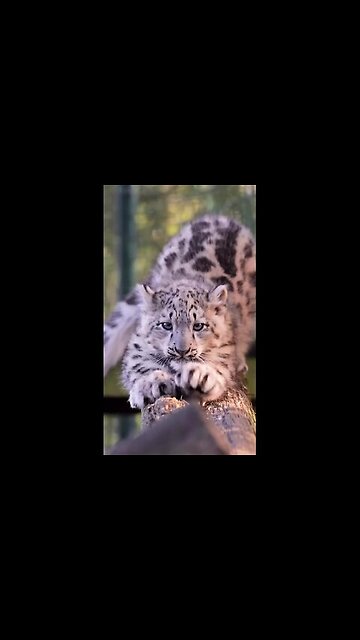 Let's stretch well and get ready for a wonderful day