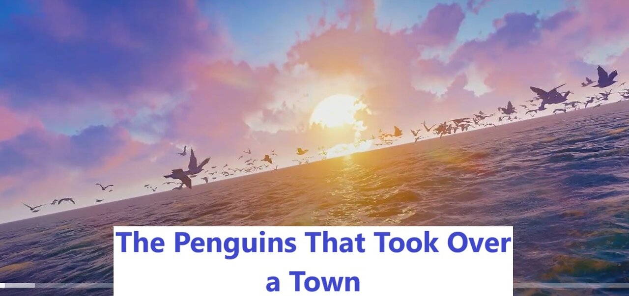 The Penguins That Took Over a Town: A Heartwarming Rescue Story