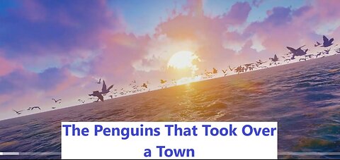 The Penguins That Took Over a Town: A Heartwarming Rescue Story