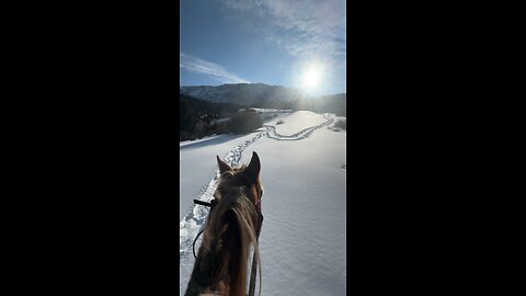 Kyrgyzstan mountains