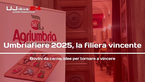 Umbriafiere 2025, la filiera vincente Bovini da carne, idee per tornare a vincere