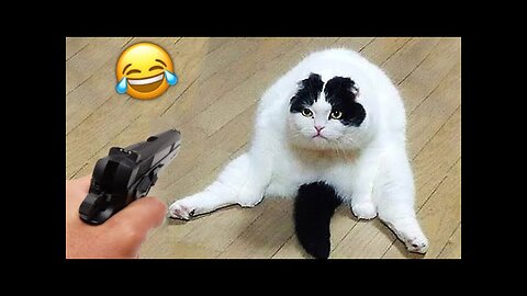 Funny Cats & Dogs Fails Compilation 2025 | Hilarious Animal Moments! 😂