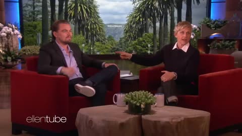 Leonardo DiCaprio on 'Wolf of Wall Street,' Jonah Hill, Shark Survival Story (Full Interview)