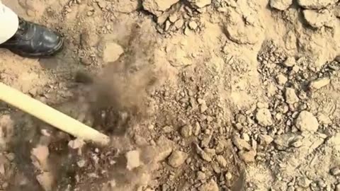 finds and old things from inside the grave 19