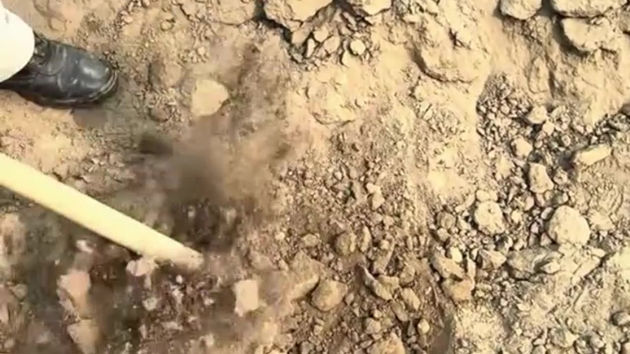 finds and old things from inside the grave 19