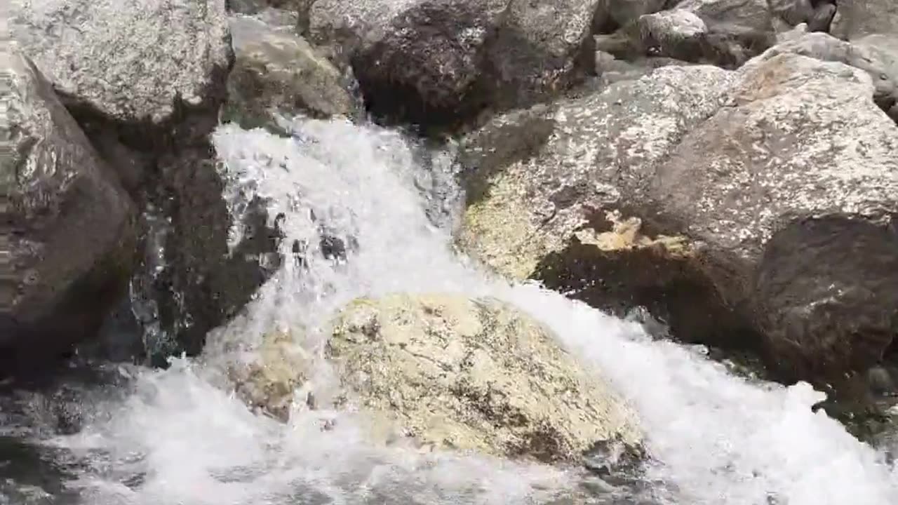 Nature video