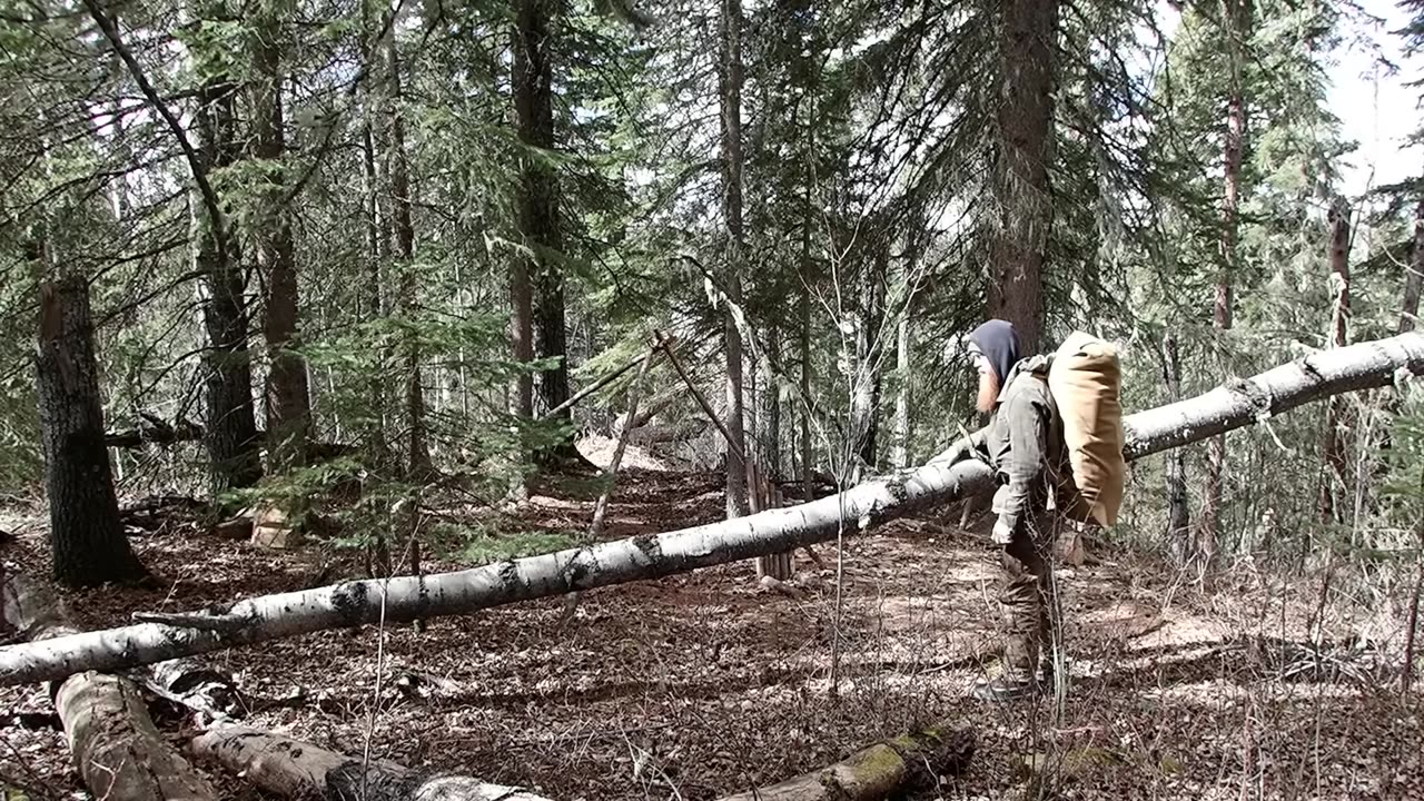 Solo Backcountry Bushcraft Tarp Camp