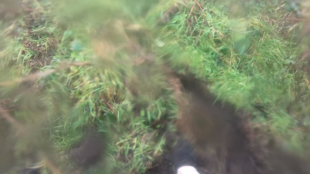 Equestrian Disoriented After Rotational Fall