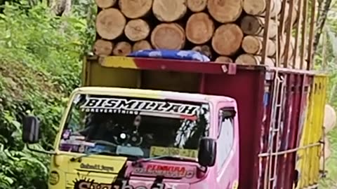 I felt my heart want to stop seeing the truck loaded with wood shaking