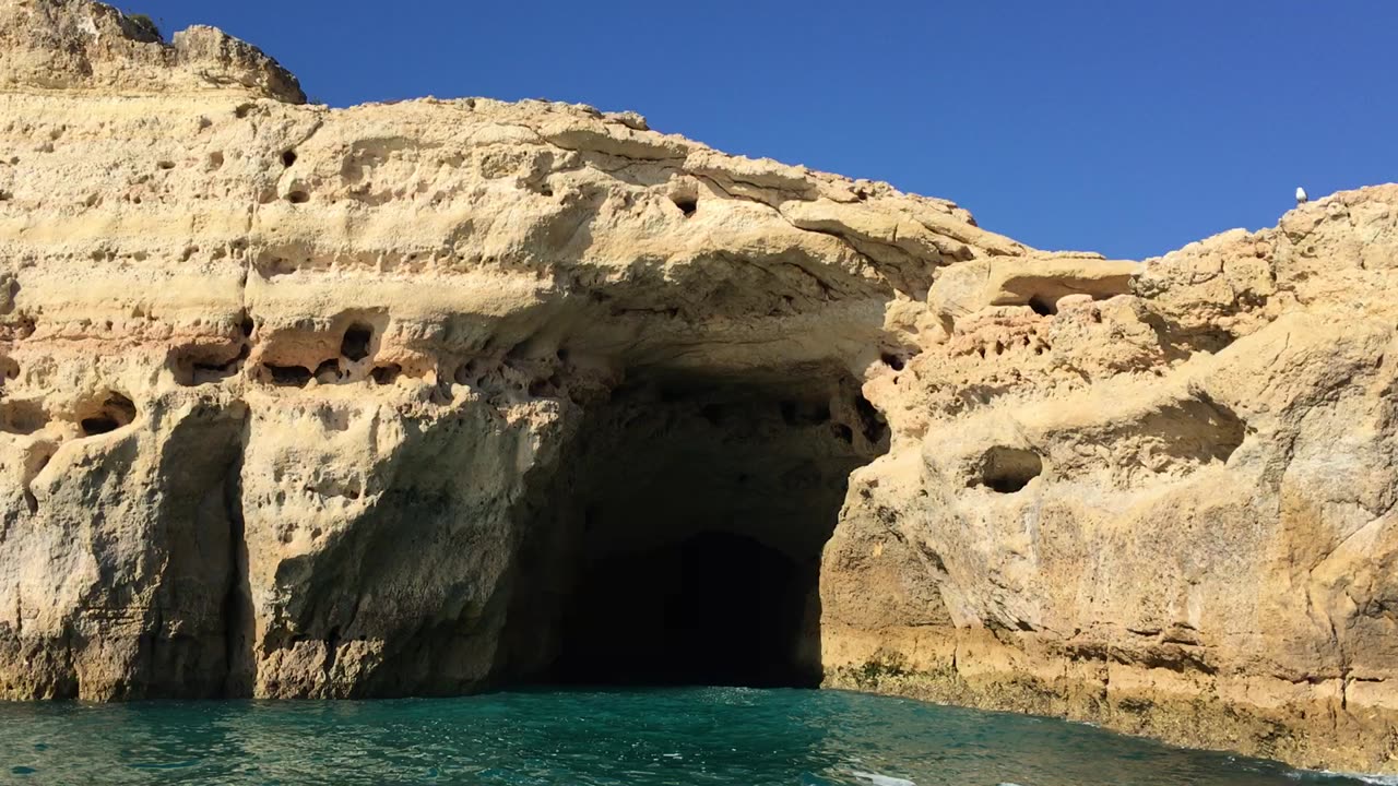 Sea Cave & Dolphin Watching Tour (Benagil, Algarve, Portugal) 24