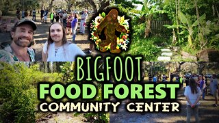 Creating A Future Of Abundance & Freedom - Bigfoot Food Forest of New Port Richey FL