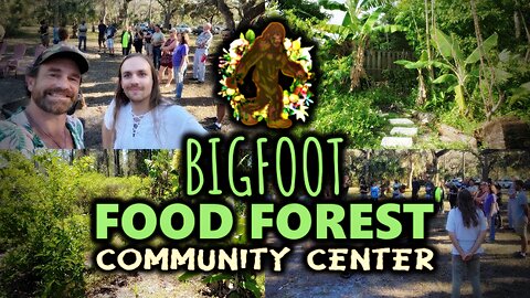 Creating A Future Of Abundance & Freedom - Bigfoot Food Forest of New Port Richey FL