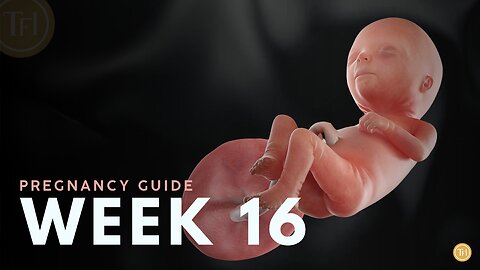 What to Expect at Week 16 | Week by Week Pregnancy Guide