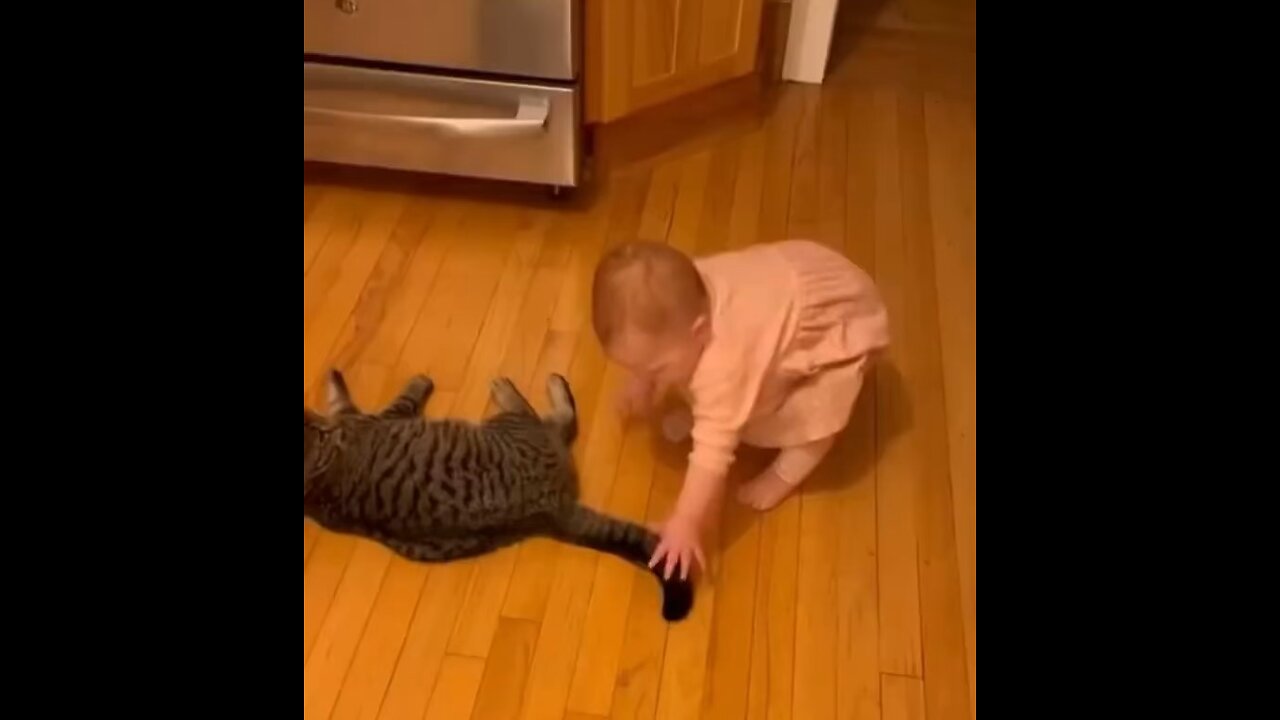 Why This Baby loves to irate Cat 🐈???