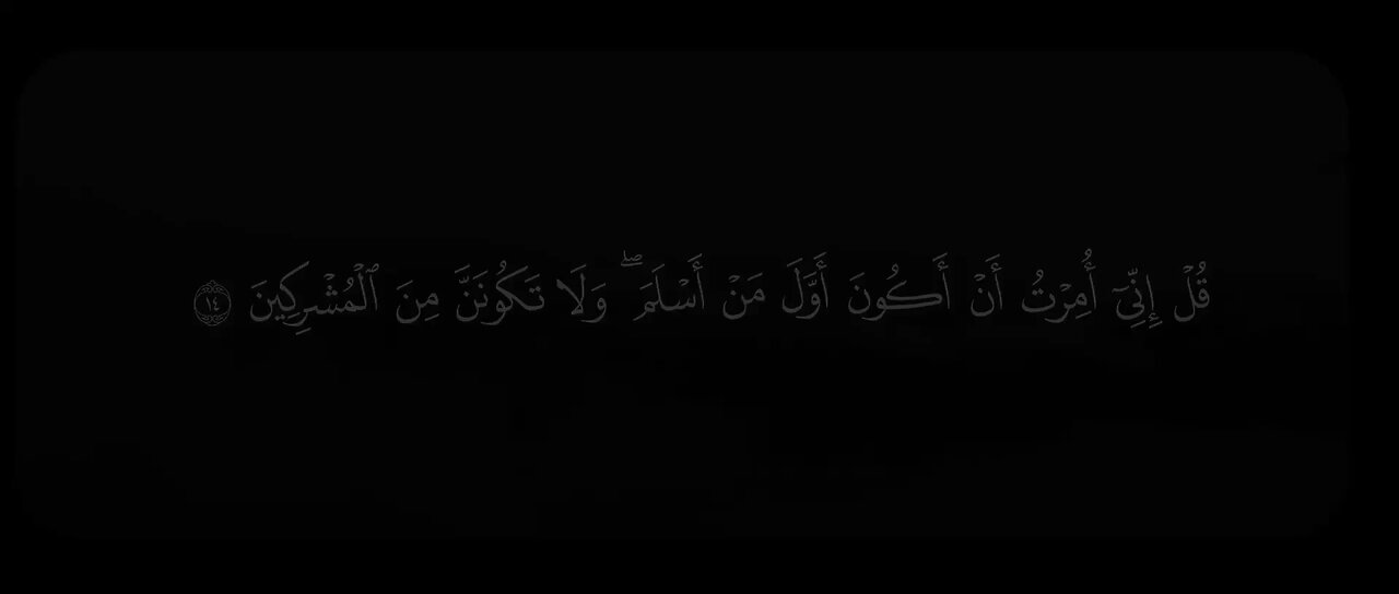 #القرآن_الكريم محمد أيوب | سورة الأنعام .