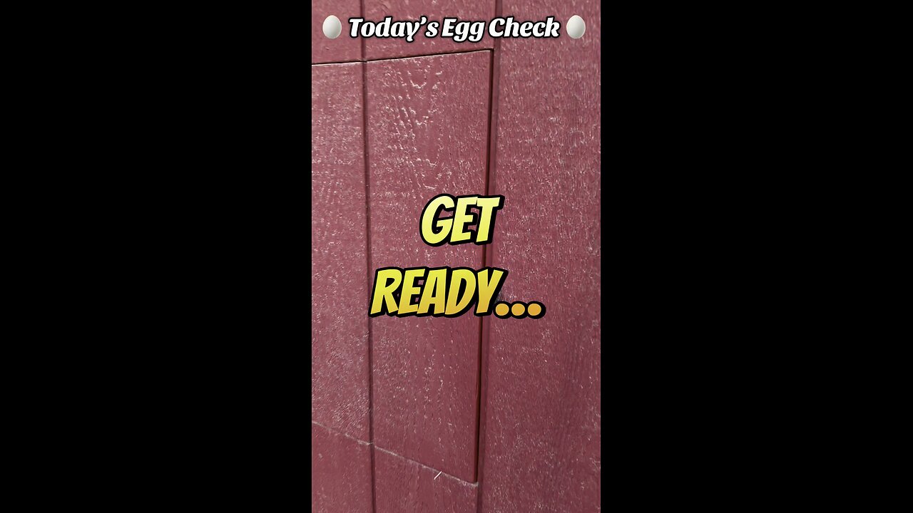 🥚 Saturday’s Egg Check! 🥚 #shorts