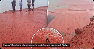 Blood Red Rain In Iran, Trump's CDC Still Jabbing Little Babies, 1798 Alien Enemies Act, Very First Biological Computer, Musk Cites Deagel's Depopulation Report, Days of Noah