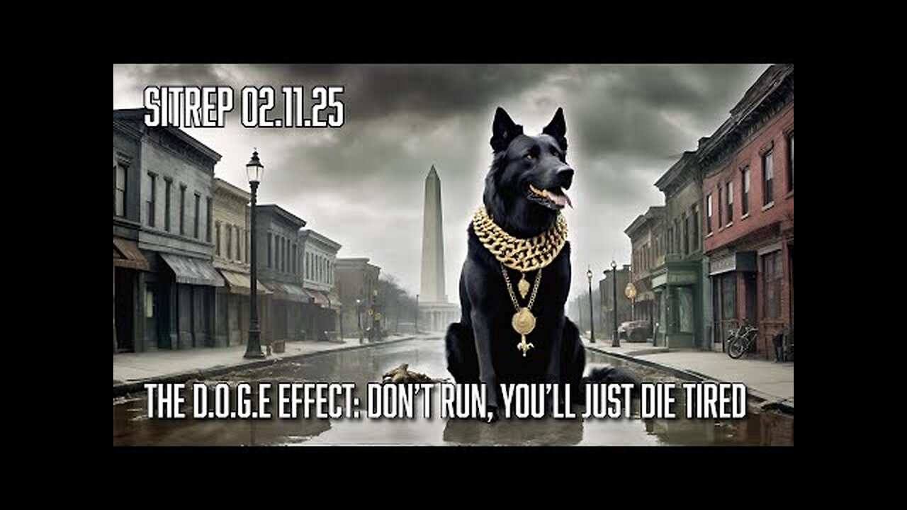 Monkey Werx-The D.O.G.E Effect: Don t Run, You ll Just Die Tired - SITREP 02.11.25