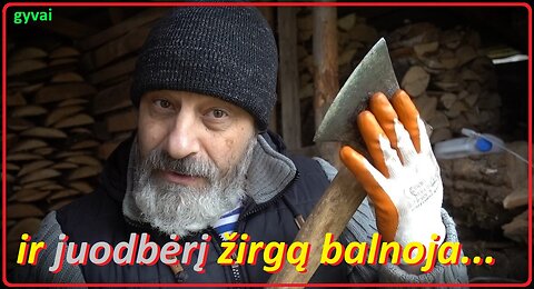 Kada kam patogu... (GYVAI)