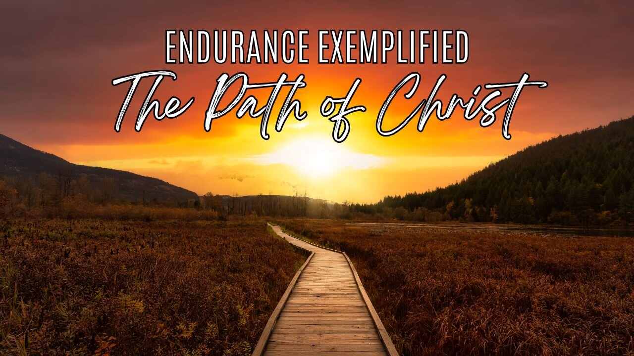 Endurance Exemplified