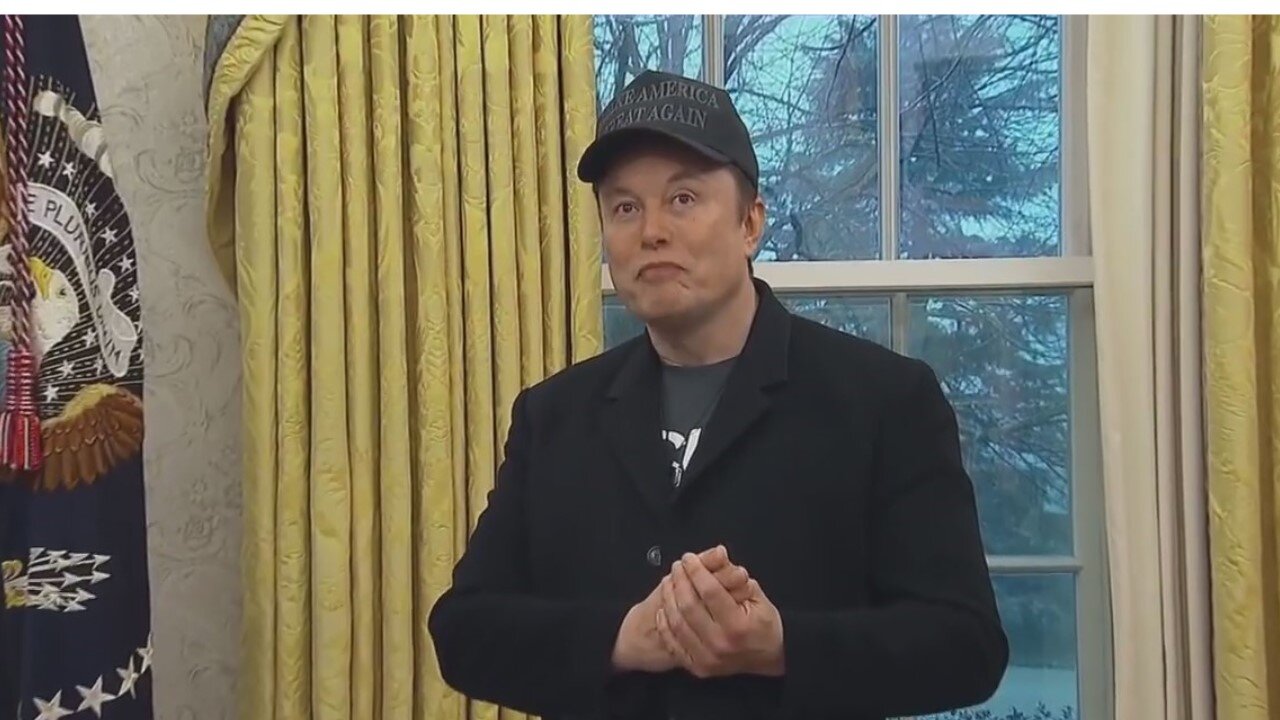 Must Musk What Musk Must What Must Musk