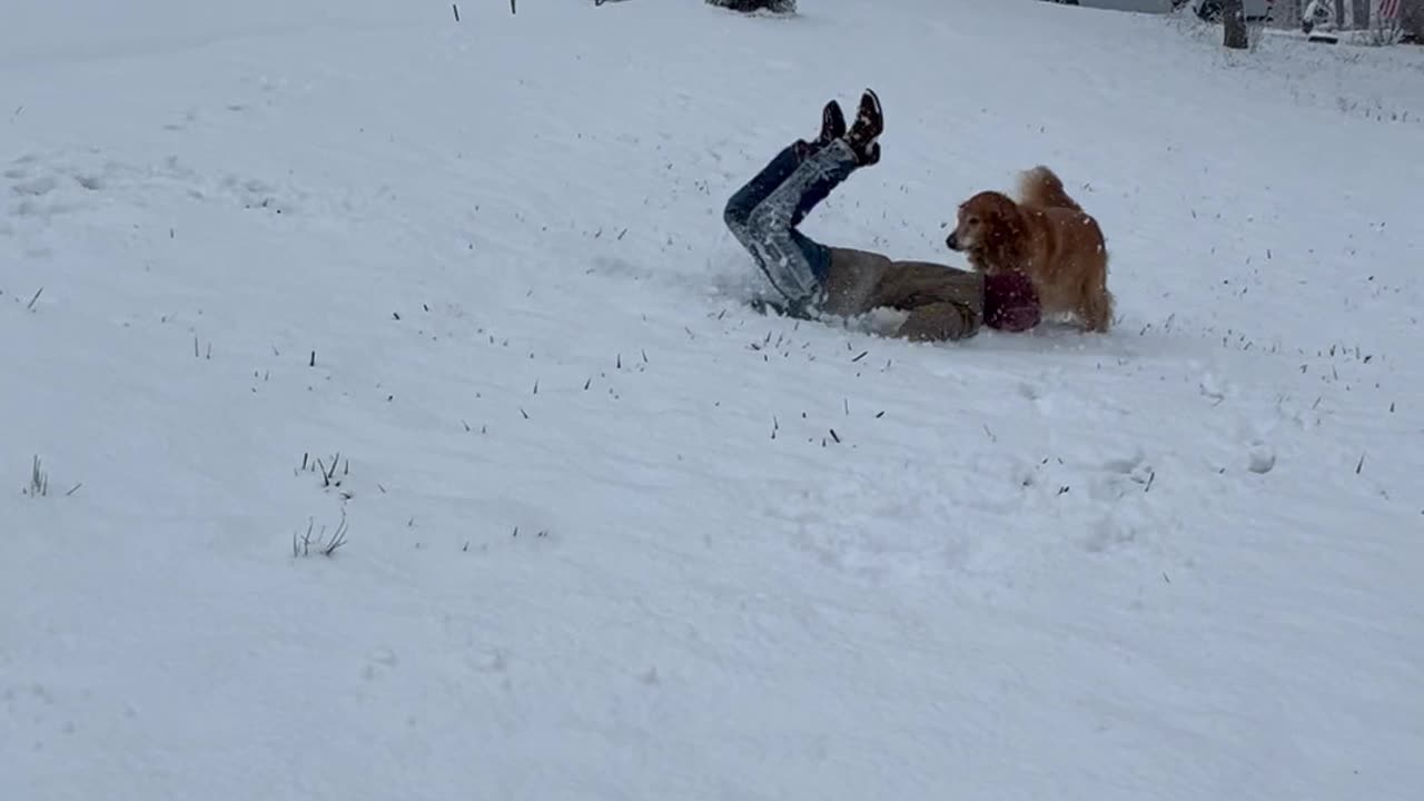 Man Sleds Into Snow Face First