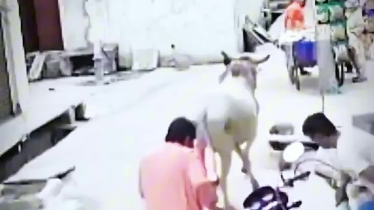 Try Not to Laugh Challenge 27 🤣 #funny #shorts #viral