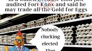 Cluck Schumer has his feathers in a bunch as Elon threatens to trade Ft Knox Gold for Eggs