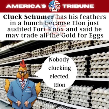 Cluck Schumer has his feathers in a bunch as Elon threatens to trade Ft Knox Gold for Eggs