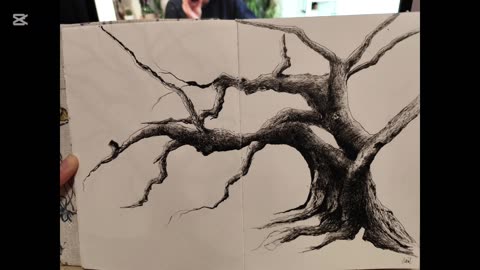 Sketching with black 🖋️ a tree