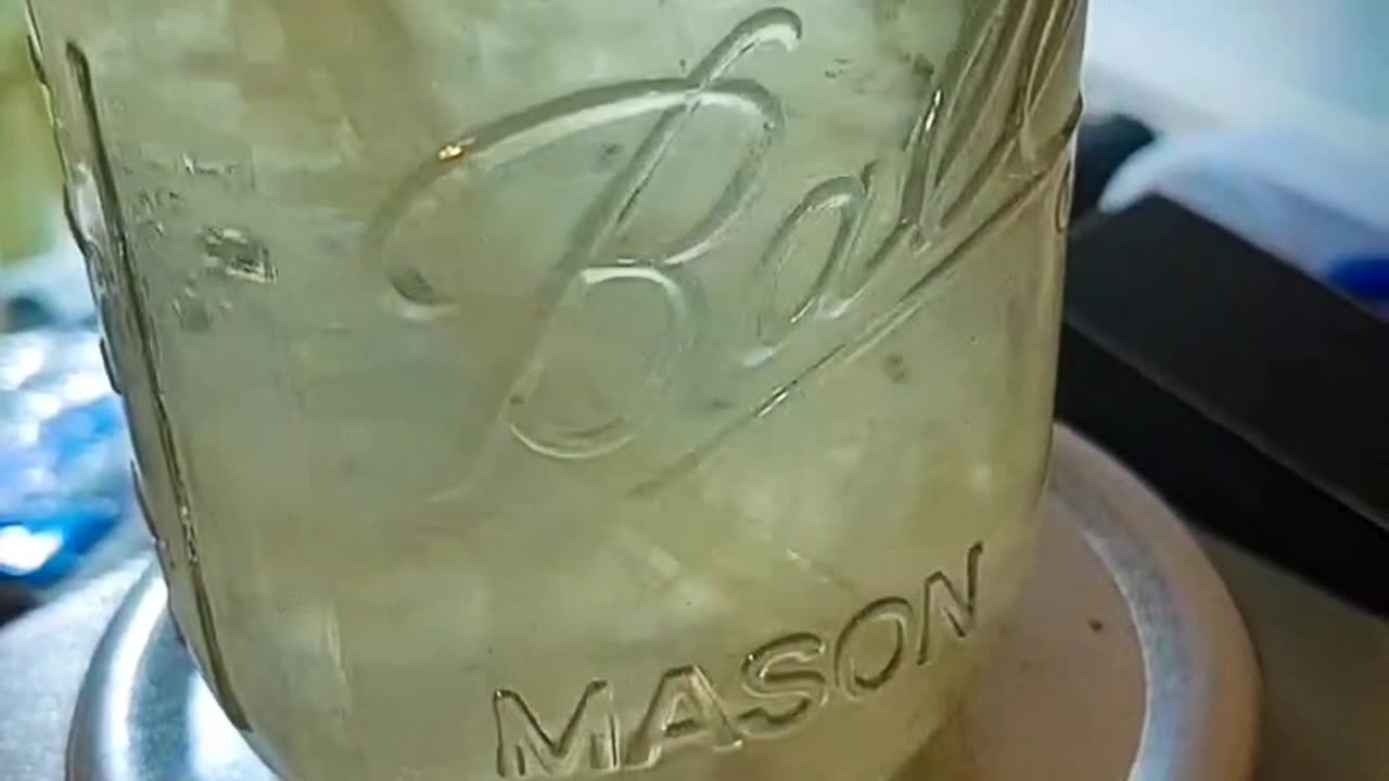 Mushroom Liquid Culture Edit