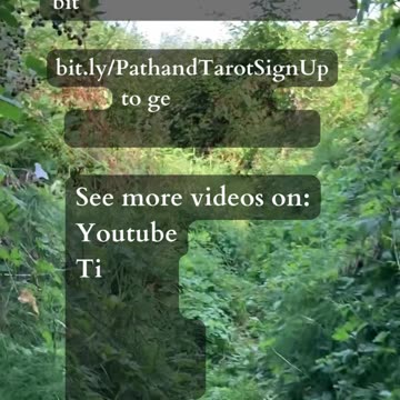 Highest Spiritual Ideal | Path and Tarot Reading