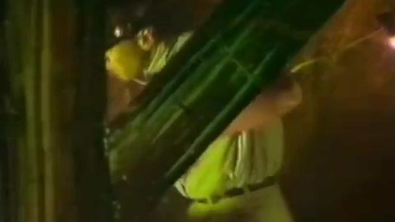 Working in the Coal Mine, Devo