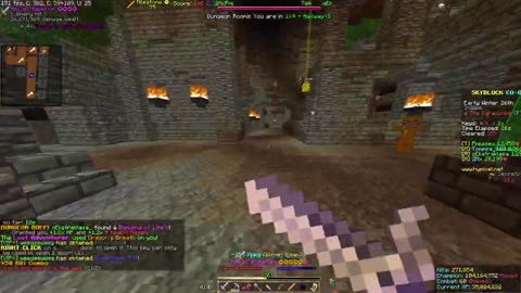 Skyblock FLOOR 7 [#593]
