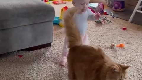 Baby’s Sweet Steps with Fluffy Cat