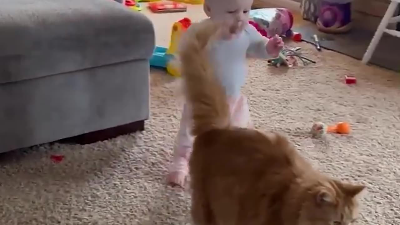 Baby’s Sweet Steps with Fluffy Cat