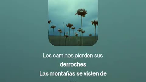 Cuando Lloras