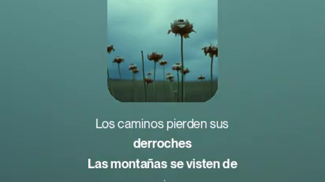 Cuando Lloras