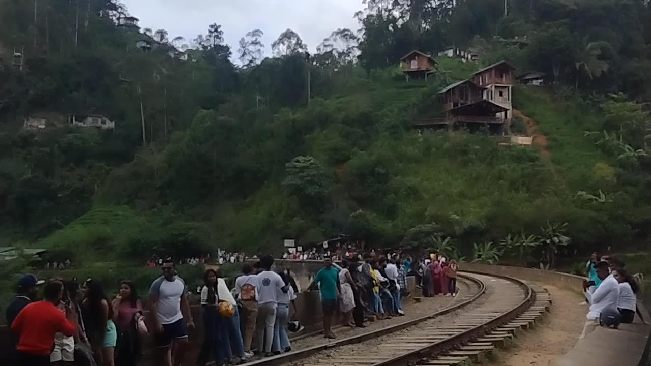 "Nature's Masterpiece: Ella's Nine Arches Train Journey Through Paradise"