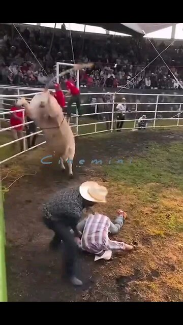 live Spanish Bull riding