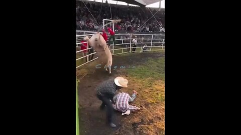 Spanish Bull riding