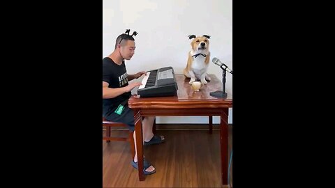 म्युजिक