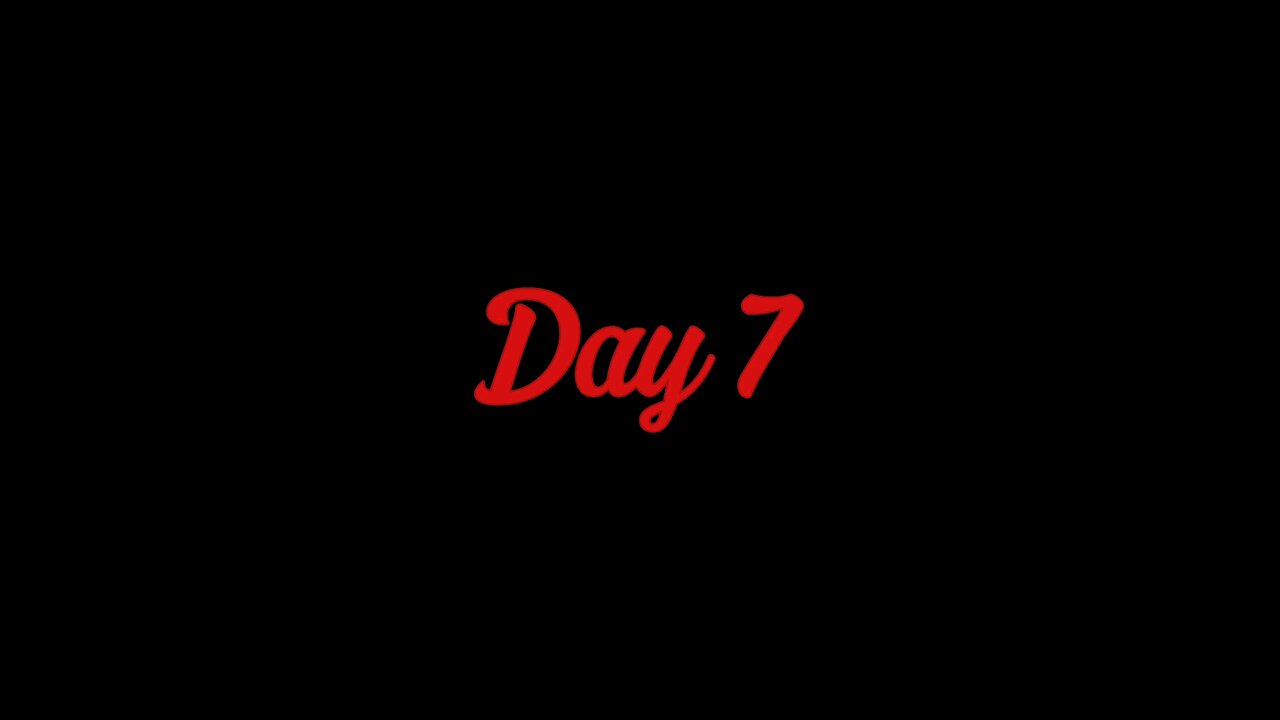 Day 7