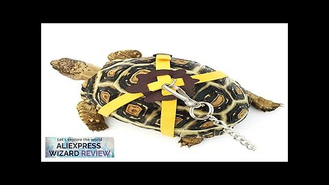 Pet Training Leash Gerbil Cage Cotton Rope Harness Collar Hamster Turtle Lizard Review