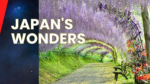 5 Incredible Photos That Prove Japan's Unmatched Charm - Wonders of This Unique Country!