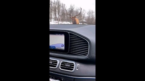 On Canadian road) на Канадских дорогах)